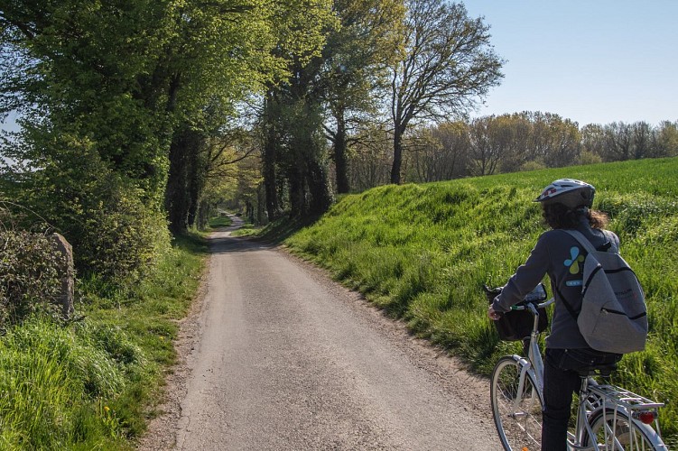 Rundgang durch den Wald von Chassagne in Chalamont