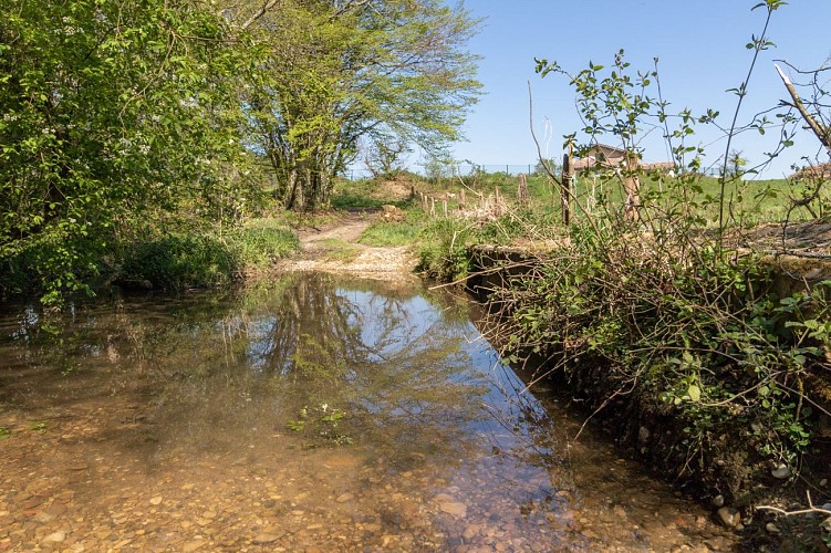 Rundgang durch den Wald von Chassagne in Chalamont