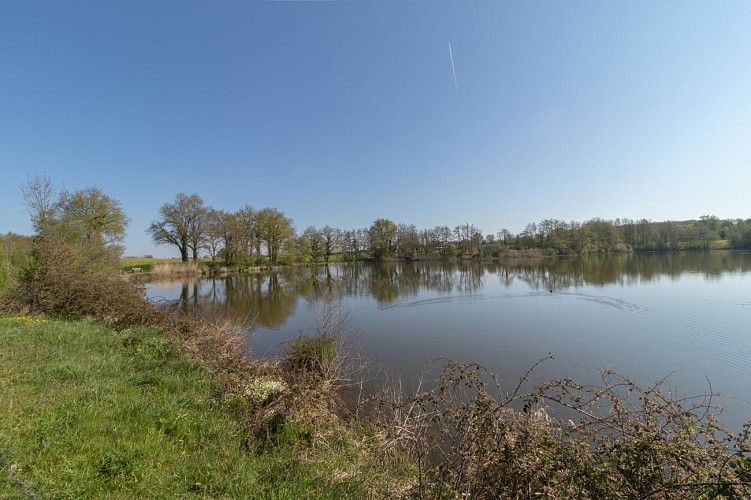 Etang de l'écluse - Chalamont