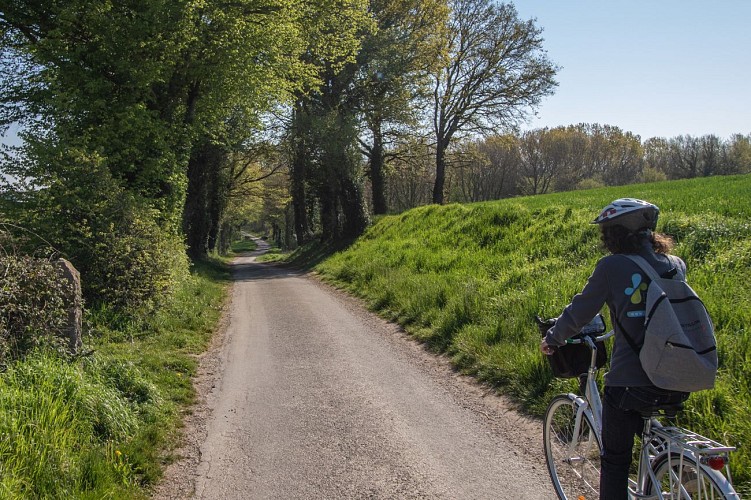 Circuito della Forêt de Chassagne a Chalamont
