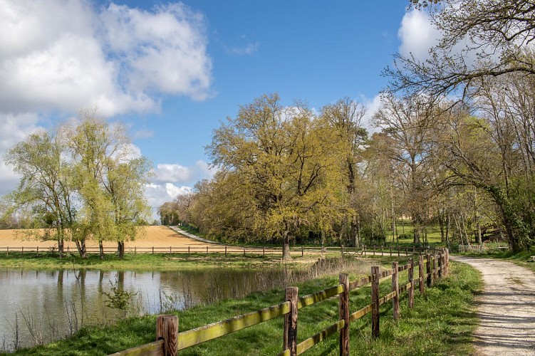 Rundweg vom Bois des Pommes zum Teich Sonntag in Mionnay