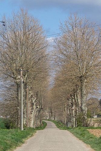 Rundweg vom Bois des Pommes zum Teich Sonntag in Mionnay