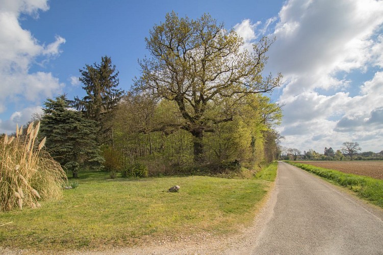 Rundweg vom Bois des Pommes zum Teich Sonntag in Mionnay