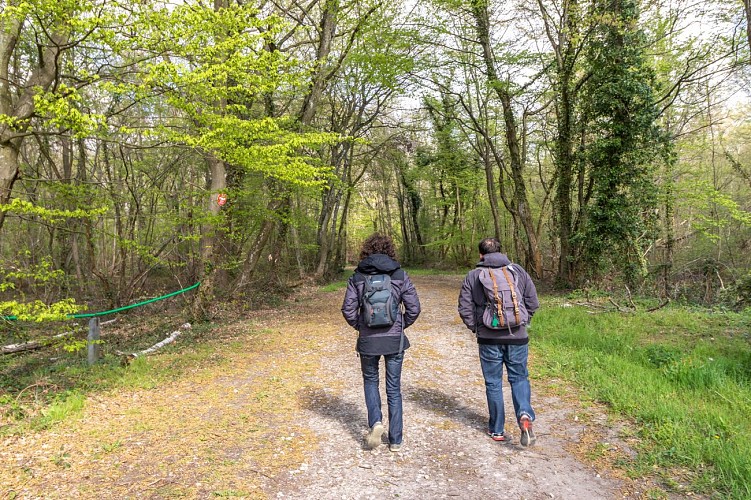 Rundweg vom Bois des Pommes zum Teich Sonntag in Mionnay