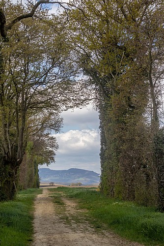 Rundweg vom Bois des Pommes zum Teich Sonntag in Mionnay