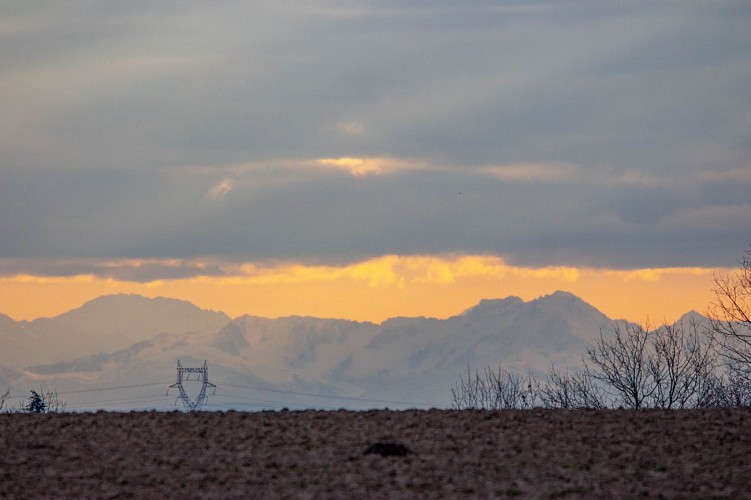 Circuit du Bois des Pommes à l'étang Domingo em Mionnay
