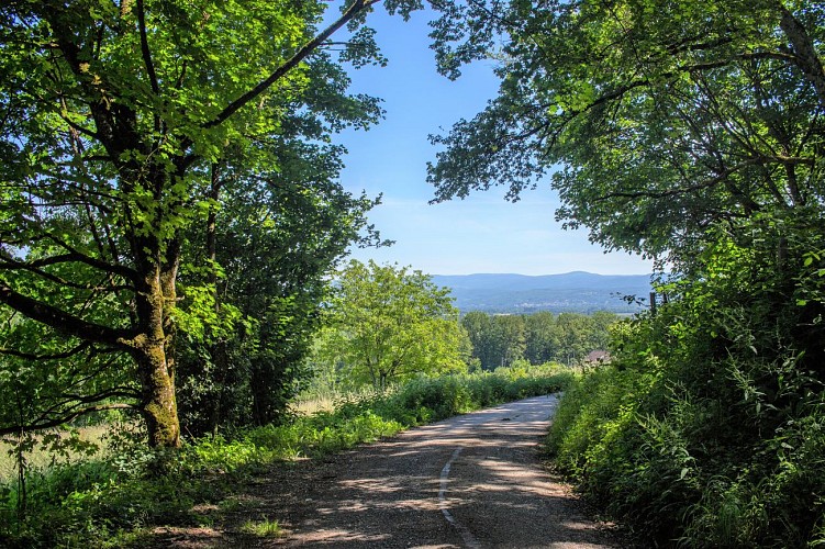 Vue sur la plaine de l'Ain