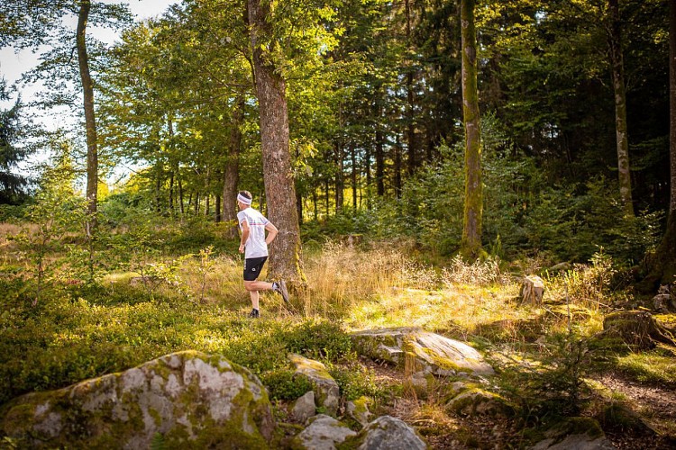 Circuit n°4 Trail des Monts Rocheux