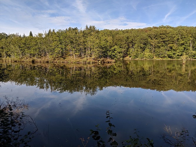 Circuit n°4 Trail des Monts Rocheux