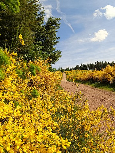 De l’Aze à l’Ergues - Beaujolais Vert - Claveisolles_Claveisolles