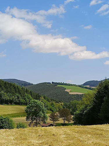 De l’Aze à l’Ergues - Beaujolais Vert - Claveisolles_Claveisolles
