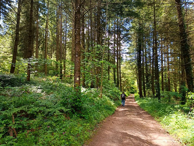 De l’Aze à l’Ergues - Beaujolais Vert - Claveisolles_Claveisolles