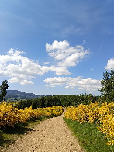 De l’Aze à l’Ergues - Beaujolais Vert - Claveisolles_Claveisolles