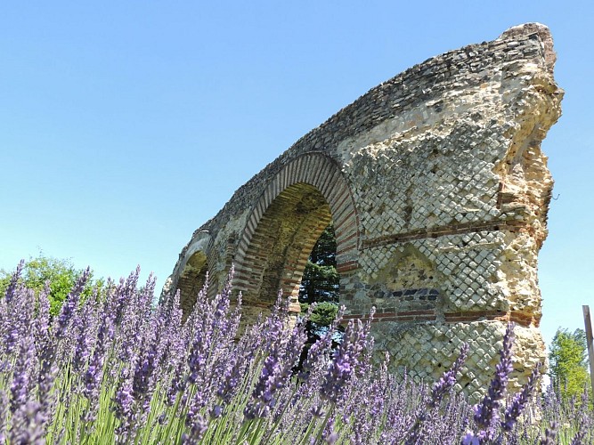 Chaponost - Fiche rando