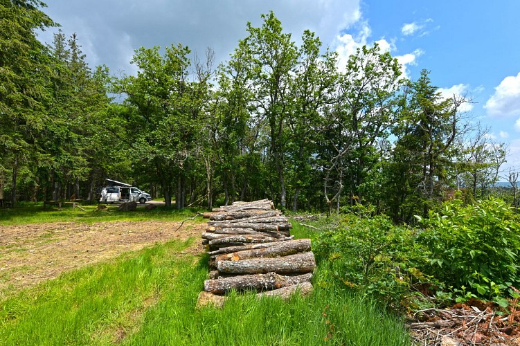 The forest of Brou - Beaujolais - Dième_Dième