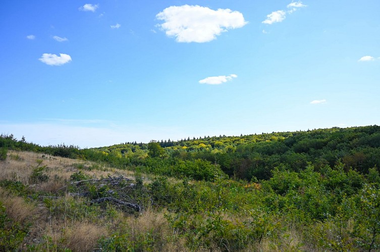 saint aubin les forges