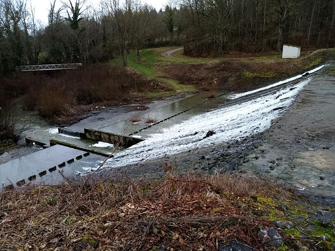 Le plan d'eau de Vieure (03)