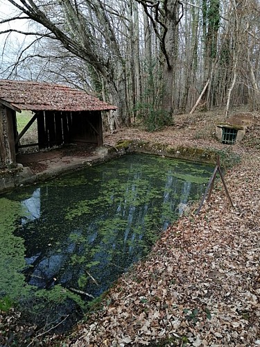 Le plan d'eau de Vieure (03)