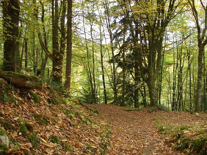 Sentier des carrières