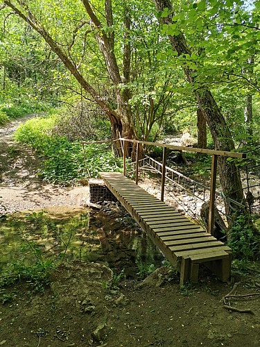 Promenade 7 bilstain 2