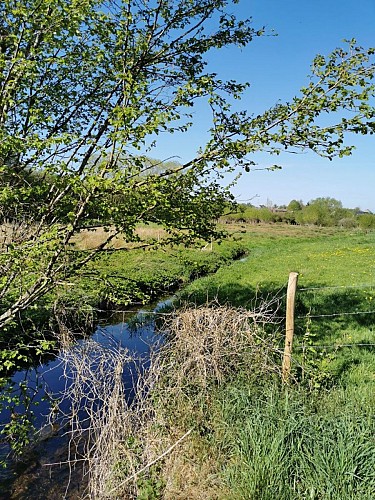 Promenade 2 découvertes campagnardes 1