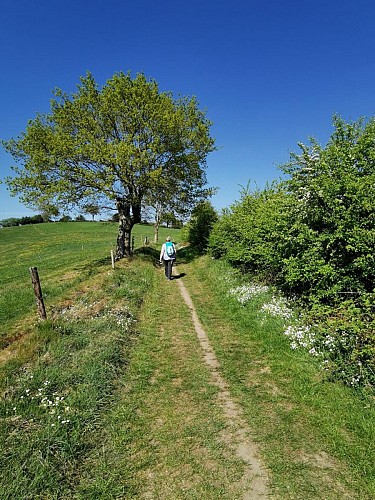 Promenade 2 découvertes campagnardes