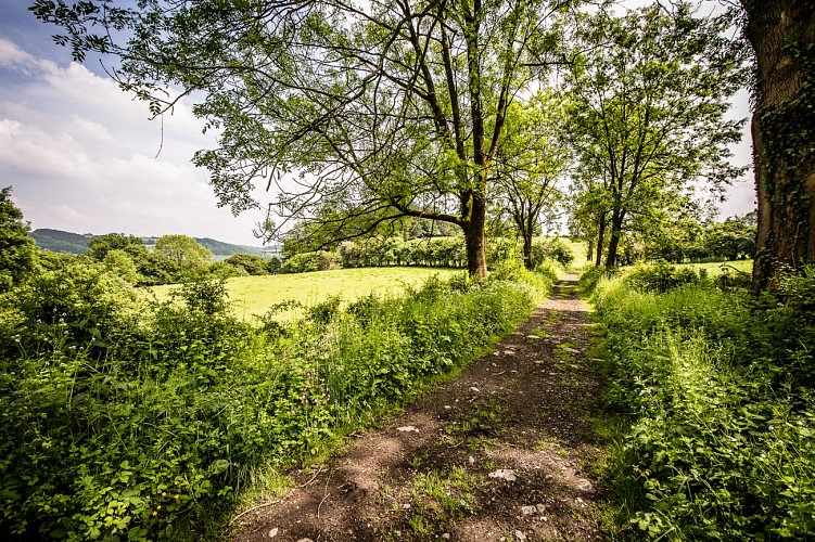 Campagnes de Limbourg