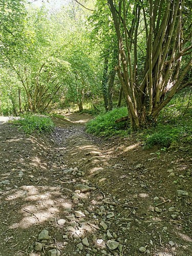 Promenade 6 chemins et vieilles routes 1