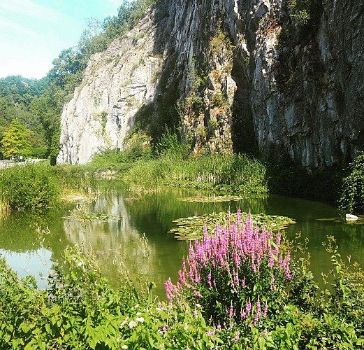 Unknown_119210580_641831486466175_6739159388201451603_n (1)