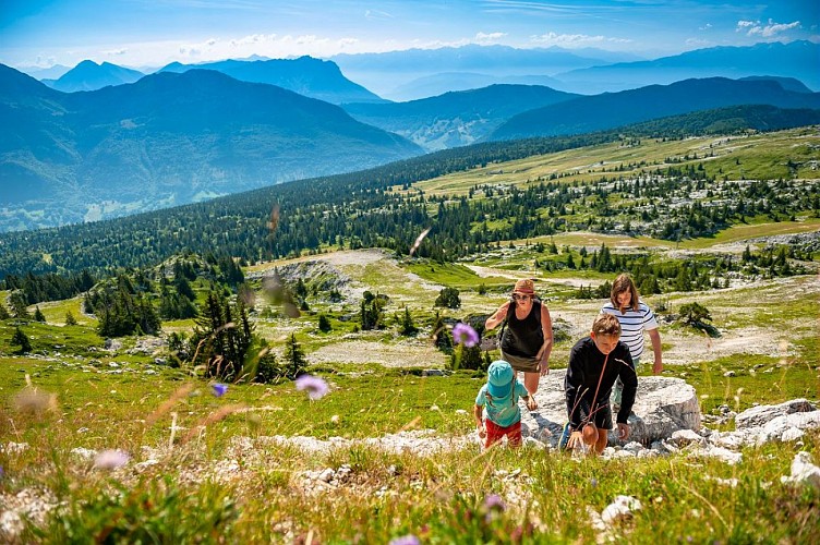 Tannes et Glaciaires du Magériaz