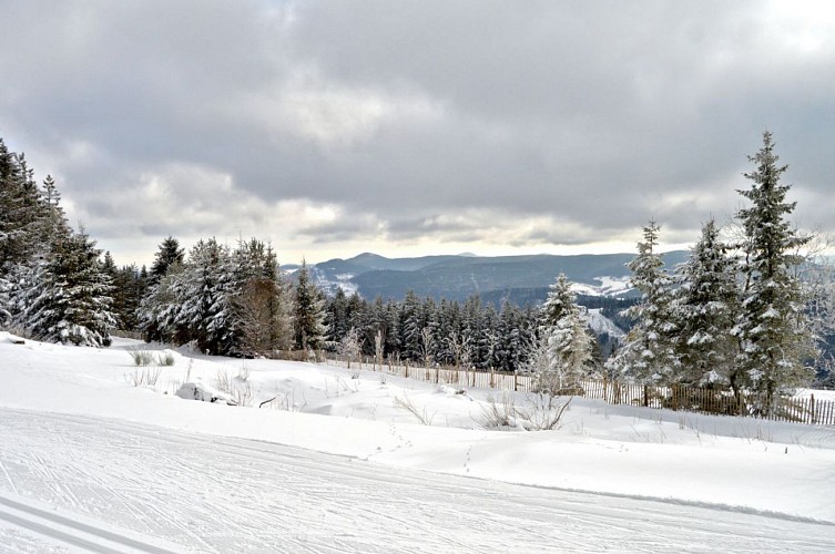 vue sur la vallée 