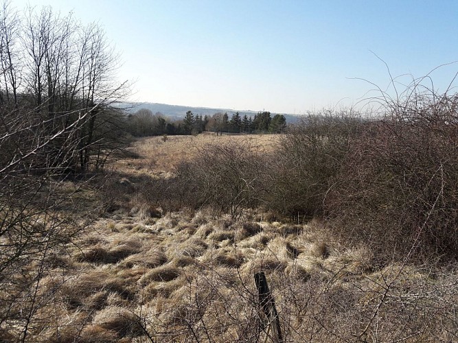 "Le Cheval Blanc" Circuit A - Départ mairie La Chaussée d'Ivry