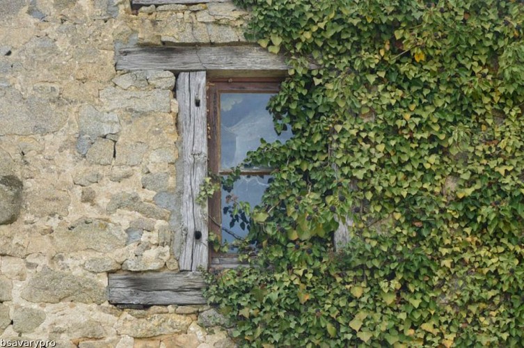 Circuit pédestre N°58 : "L'Or des Gaulois"