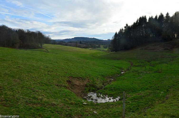 Circuit pédestre N°58 : "L'Or des Gaulois"