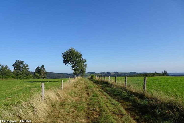 De la Diège à la Vienne