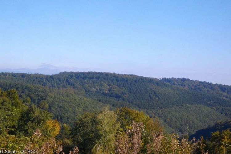 Lémovices ou Arvernes - circuit 1