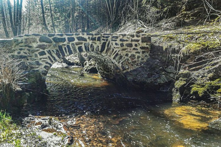 Merlines - pont