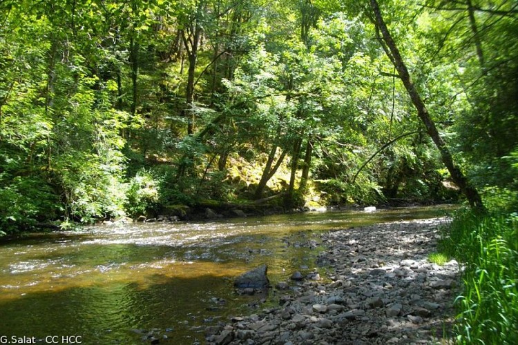 Lemovices or Arvernes - circuit 2