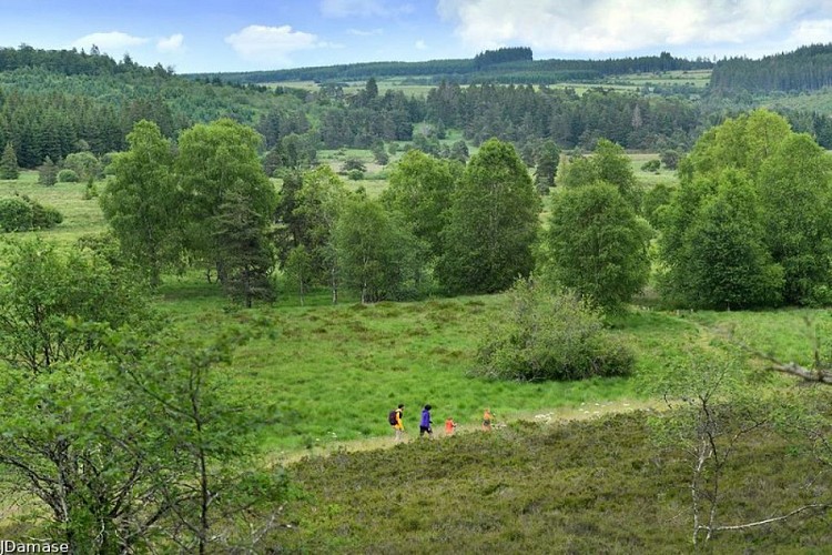 The Longeyroux Peat Bog