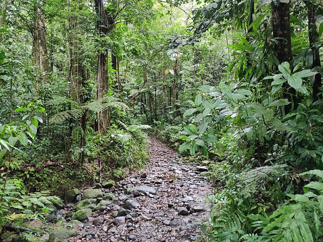 sentier d'accès au bassin bleu