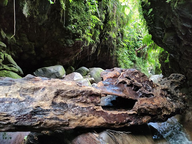 Guadeloupe - Gourbeyre - Cascade Parabole par le bassin bleu - 23/01/2022