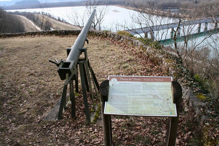 canon et ponts sur Rhône