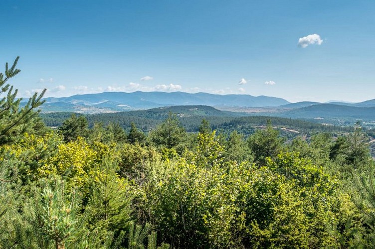 Panorama sur les Cévennes