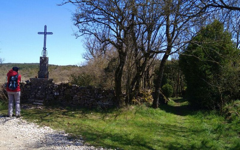 L'entrée de la buissière