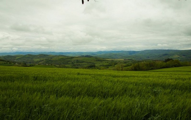 paysage des monts et vallons