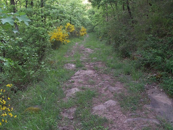 Pavés de l'ancienne voie romaine