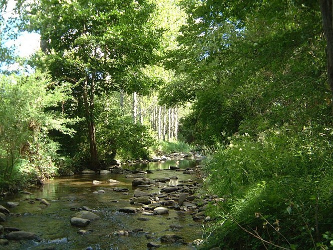 Le Rance vu du passage à gué du moulin de Candellier