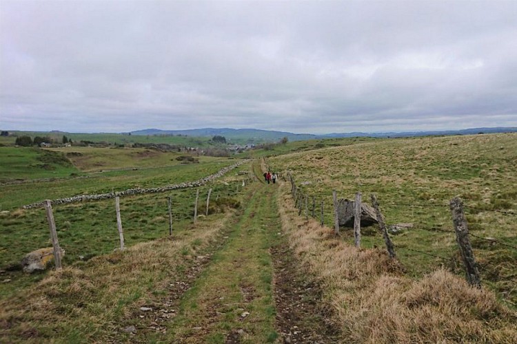 Des randonneurs empruntant une draille