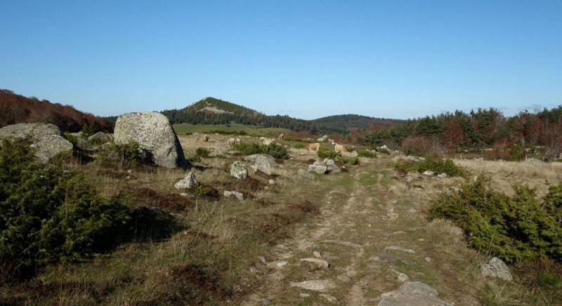 Le Pic de Mus et les pâtures de St-Laurent-de-Muret