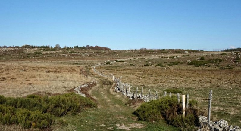 Draille dans les estives de St Laurent de Muret